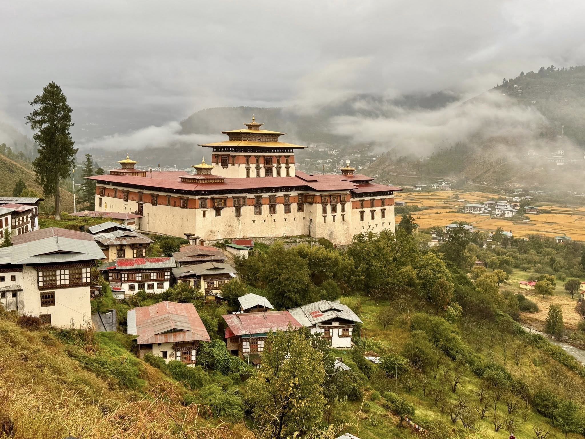 bhutan vörösjanos 2025